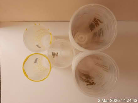 Photo of free Plastic boba cups 4 DIY / gardening (Edgwarebury Lane) #2