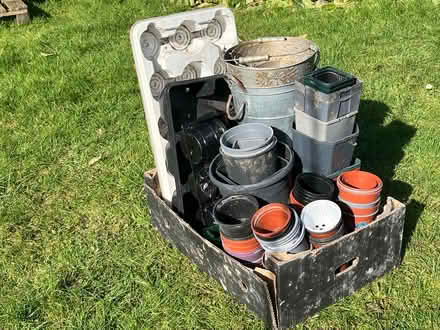 Photo of free Many planting/ flower pods, trays (IP8) #1