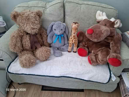 Photo of free Soft toys (Watton IP25) #1