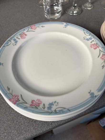 Photo of free Dinner Plates (Oulton Broad NR32) #3