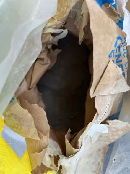 Photo of free Concrete powder (St Annes Park, BS4) #1