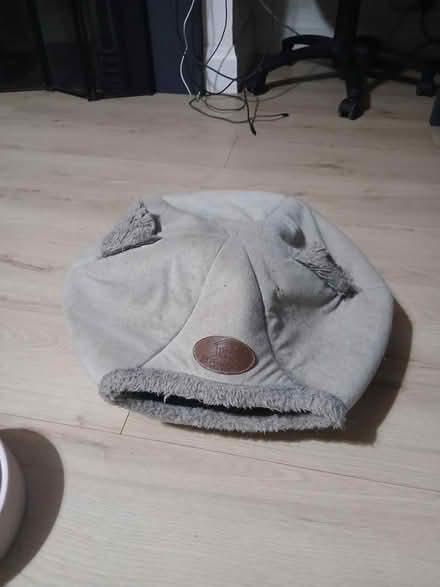 Photo of free Cat/small dog feeding bowl & bed (SE22) #4