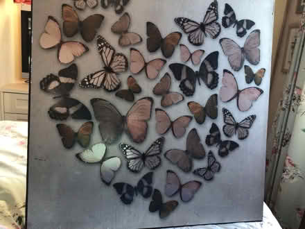 Photo of free Large picture Butterflies (Wayfield ME5) #2