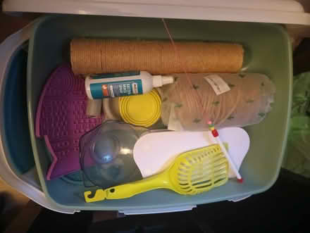 Photo of free Cat donation (Dublin 5) #4