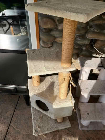 Photo of free Scratch Post and Stairs (South Land Park) #2