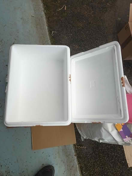 Photo of free 5 polystyrene insulated boxes (Melksham) #1