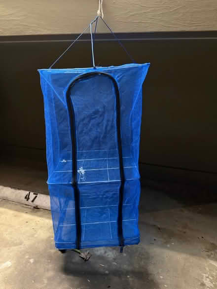 Photo of free Portable blue mesh drying rack (Valencia Avenue, Sunnyvale) #1