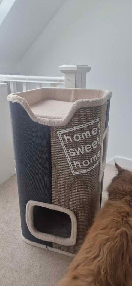 Photo of free Cat barrel tower (Shoreham by Sea BN43) #1