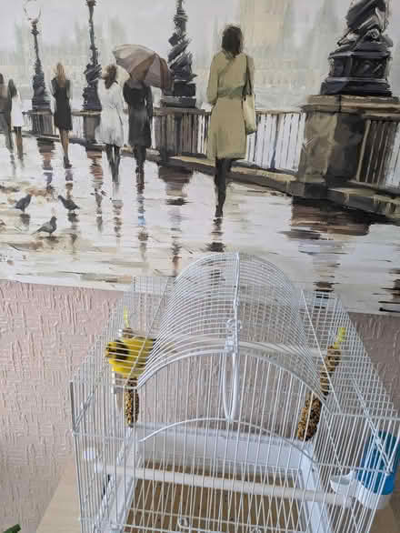 Photo of free Small White Bird cage (Southend SS1 3HZ) #1
