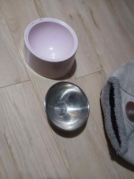 Photo of free Cat/small dog feeding bowl & bed (SE22) #1