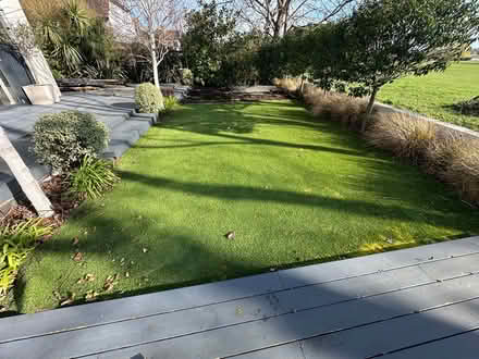 Photo of free Artificial lawn (CT5) #1