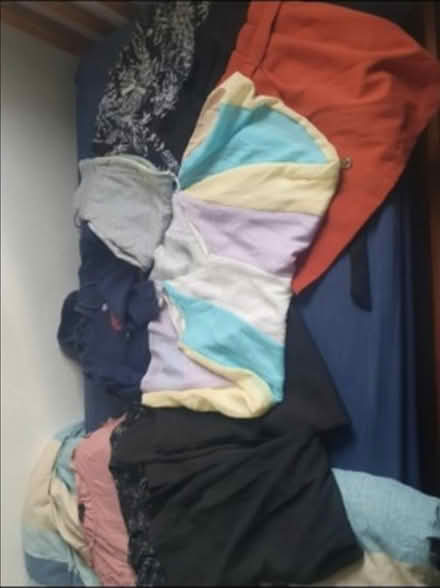 Photo of free Size 8 ladies clothes (Brookvale Village B23) #1