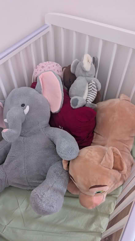 Photo of free Bags of clothes & shoes (Mill Hill, The Hale HA8) #3