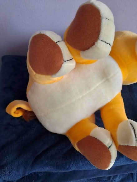 Photo of free Simba Cuddly Toy (Colwick NG4) #3