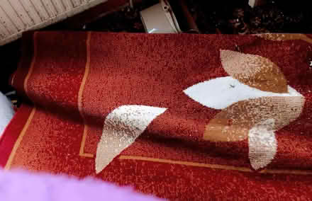 Photo of free rug good condition (Allington NG32) #1