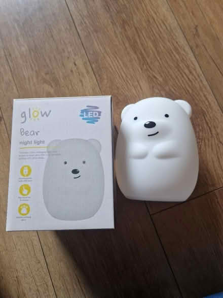 Photo of free Glow Bear (Gracemount EH16) #1