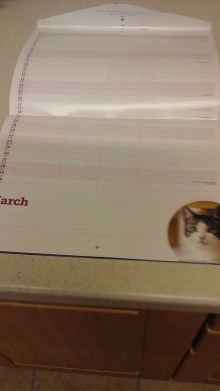 Photo of free Cats Protection family organiser (Shawlands) #2