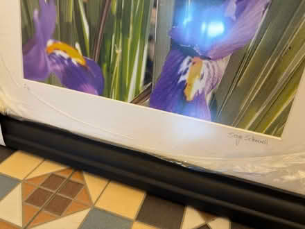 Photo of free Beautiful framed Iris print (Acton, London) #3