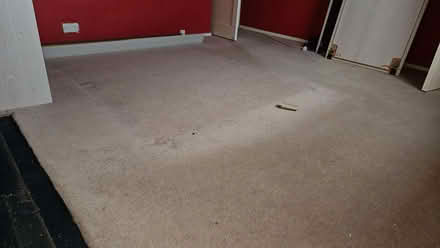 Photo of free Carpets (Conwy LL32) #1