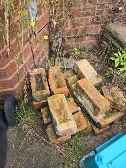 Photo of free Carrots bricks (Brandwood End B14) #1