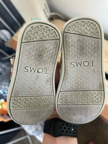 Photo of free Toddler size 6 Tom’s shoes (Los Gatos Blvd x Lark) #3