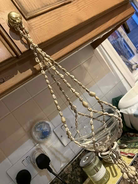 Photo of free Shell pot holder (Goffs Oak EN7) #2