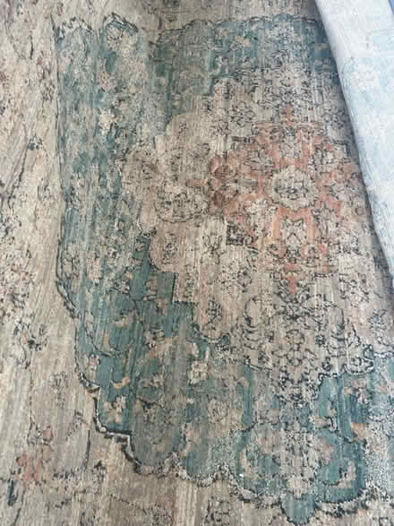 Photo of free CHAPS New York floor carpet (West Green Road N15) #2