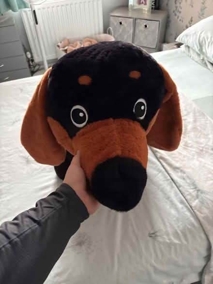 Photo of free Stuffed toy dog (NG8) #3