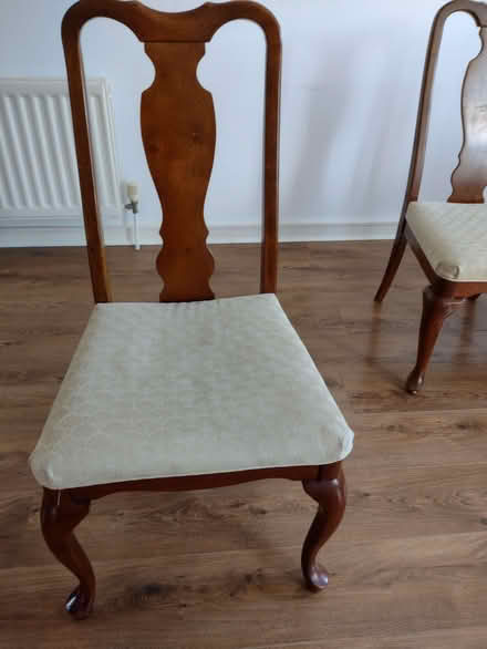 Photo of free 4 dining chairs (Alresford CO7) #2