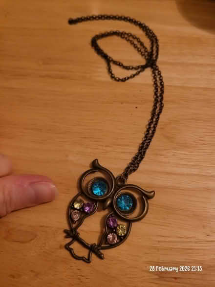 Photo of free Costume/kids jewellery (Moseley B13) #1