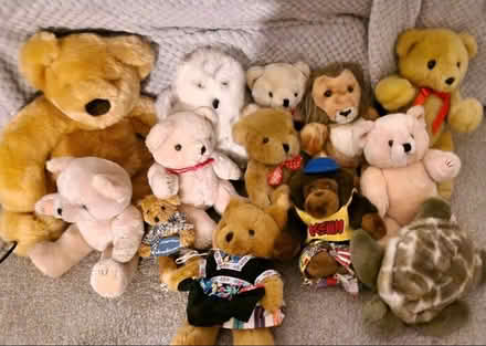 Photo of free Bundle of Teddies (Upton Priory SK10) #1