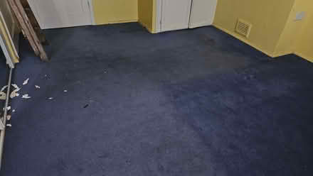Photo of free Carpets (Conwy LL32) #4