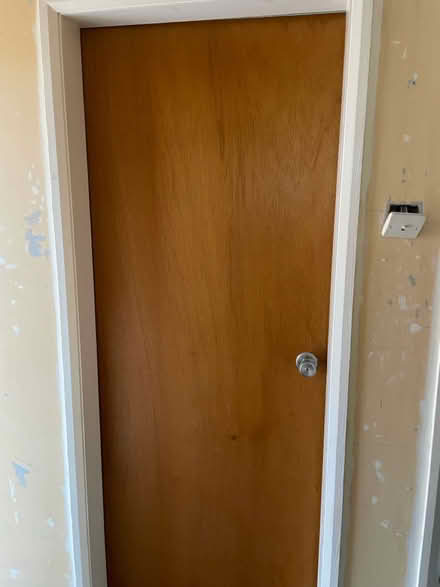 Photo of free Ply wood doors x 5 (Great Boughton Chester CH3) #1