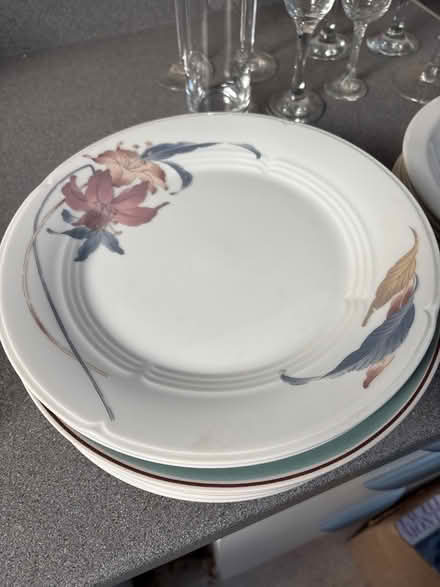 Photo of free Dinner Plates (Oulton Broad NR32) #2