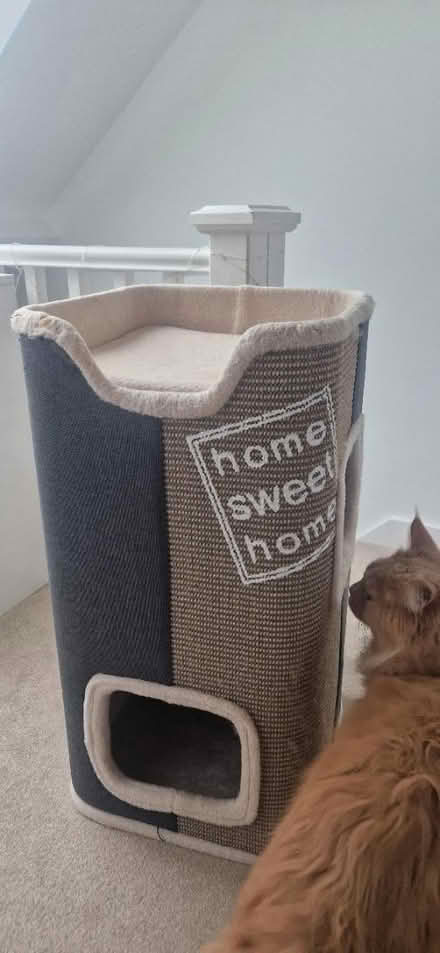 Photo of free Cat barrel tower (Shoreham by Sea BN43) #2