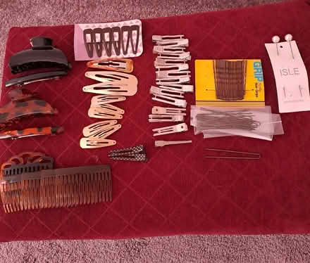 Photo of free Hair grips (Harefield SO19) #1