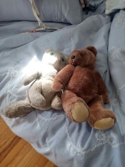 Photo of free Nail clipper, pill organizer + (Peekskill, NY) #3