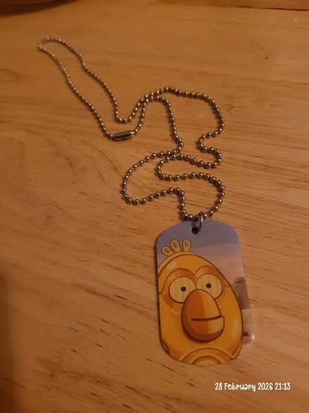 Photo of free Angry birds dog tag (Moseley B13) #1