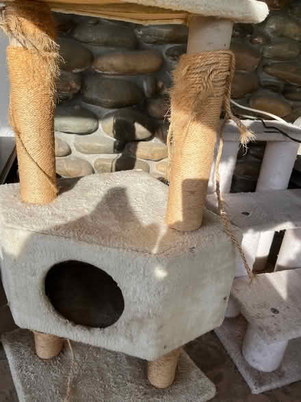 Photo of free Scratch Post and Stairs (South Land Park) #3