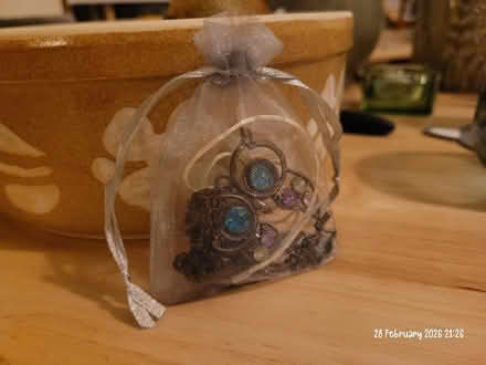 Photo of free Costume/kids jewellery (Moseley B13) #2