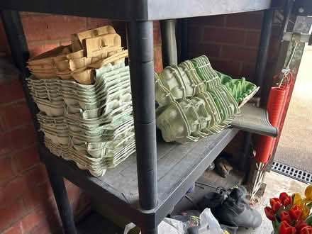 Photo of free Eye Boxes (DE3) #1