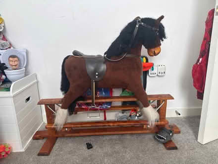 Photo of free Riding horses (Enfield N9) #1