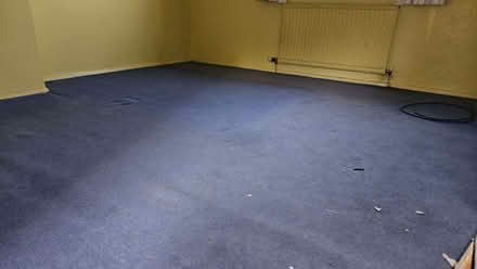 Photo of free Carpets (Conwy LL32) #3