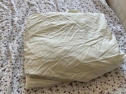 Photo of free Large double sheet for decorating (West Hill TN34) #1