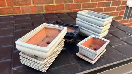 Photo of free Bonsai pots (Clanfield PO8) #2