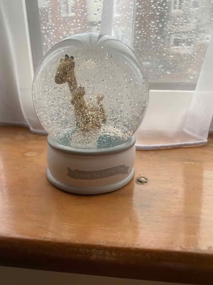 Photo of free Giraffe snow globe (Ashton PR2) #1