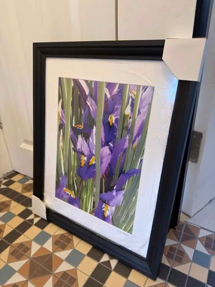 Photo of free Beautiful framed Iris print (Acton, London) #1
