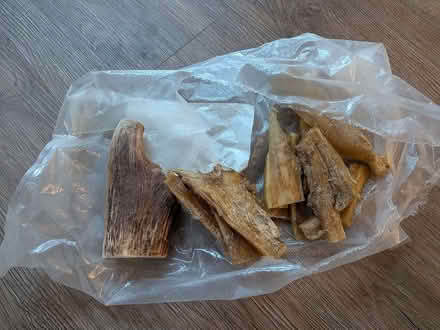 Photo of free Natural dog treats (Priestwood, Bracknell RG42) #1