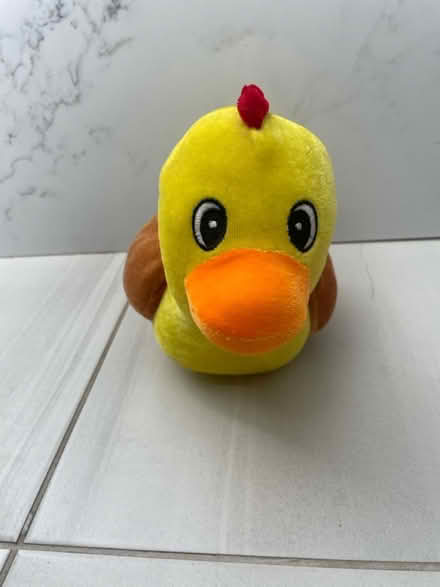 Photo of free Small duck plush (Kennedy/16th in Markham) #1