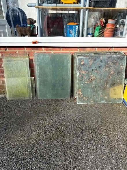 Photo of free Green house glass (Shipley Wood DE7) #1